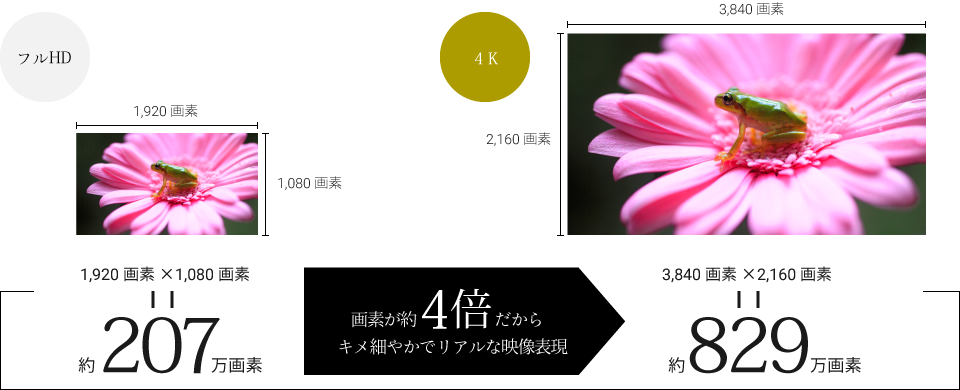 フルHD 1,920画素×1,080画素=約207万画素。画素が4倍だからキメ細やかでリアルな映像表現。4K 3,840画素×2,160画素=約829万画素。