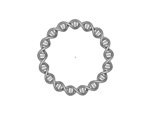 dna_ring.STL